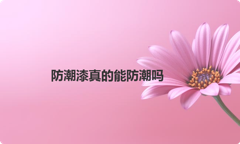 防潮漆真的能防潮吗