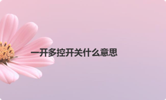 一开多控开关什么意思
