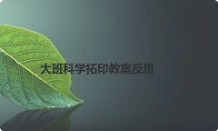 大班科学拓印教案反思