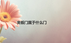 夹板门属于什么门