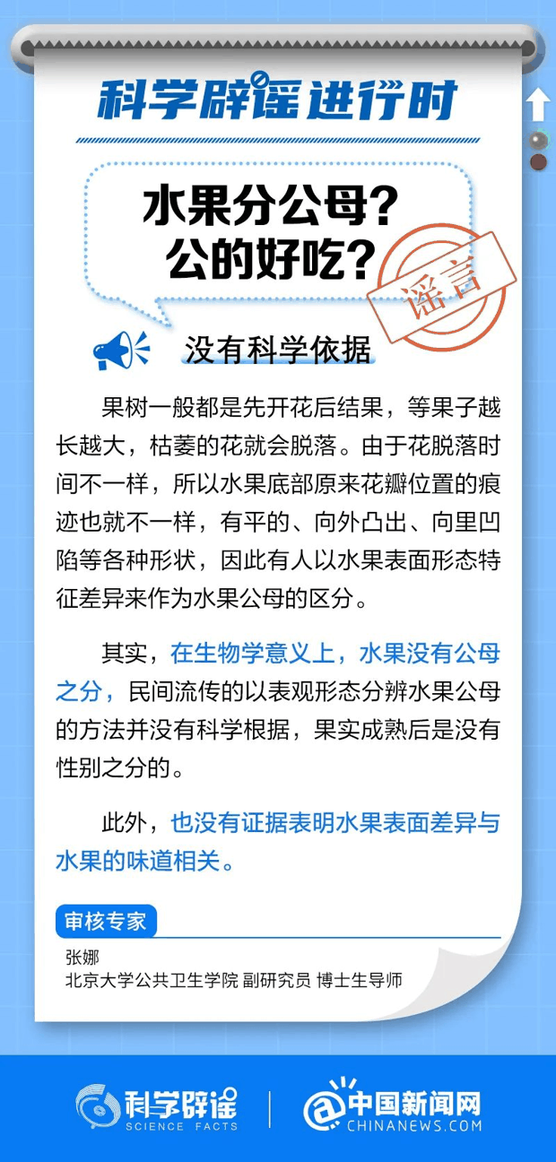 水果分公母？公的好吃？
