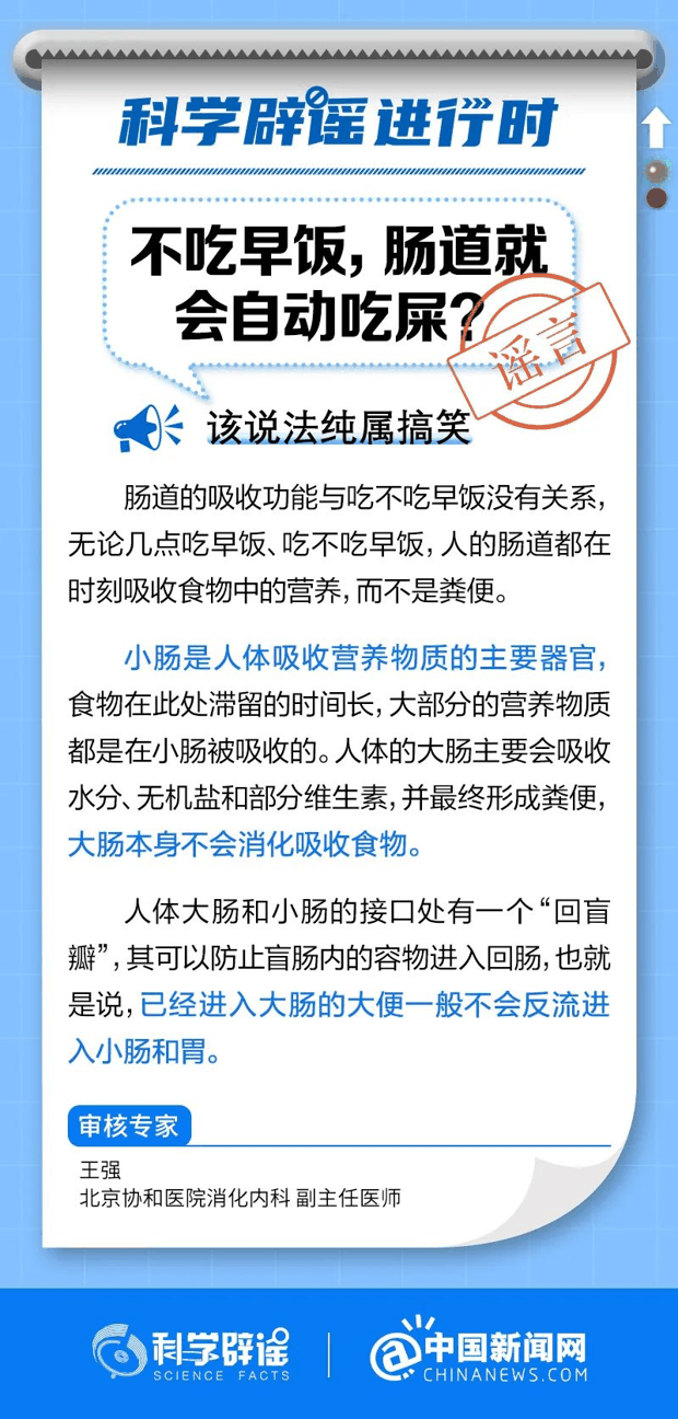 不吃早饭肠道就会自动吃屎？不吃早饭的人
