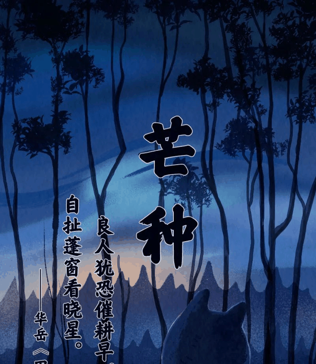 “针尖对麦芒”里的“麦芒”是啥？竟然还