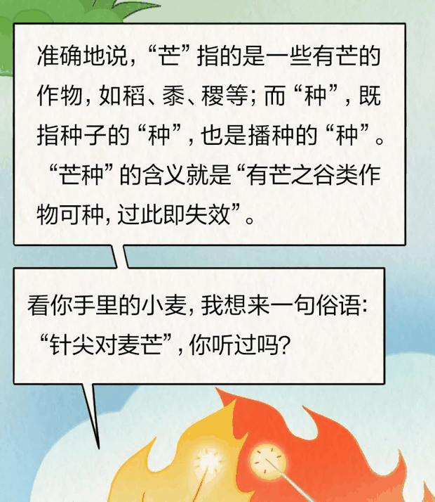 “针尖对麦芒”里的“麦芒”是啥？竟然还会自己挖洞！