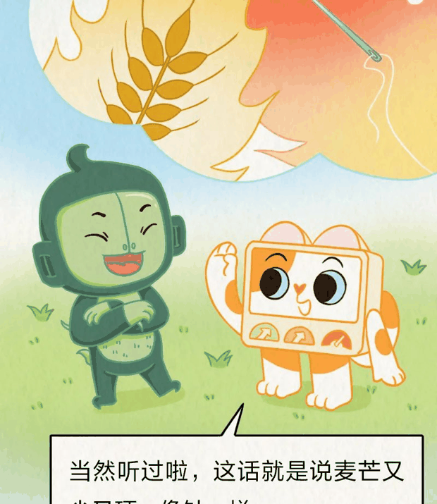 “针尖对麦芒”里的“麦芒”是啥？竟然还会自己挖洞！