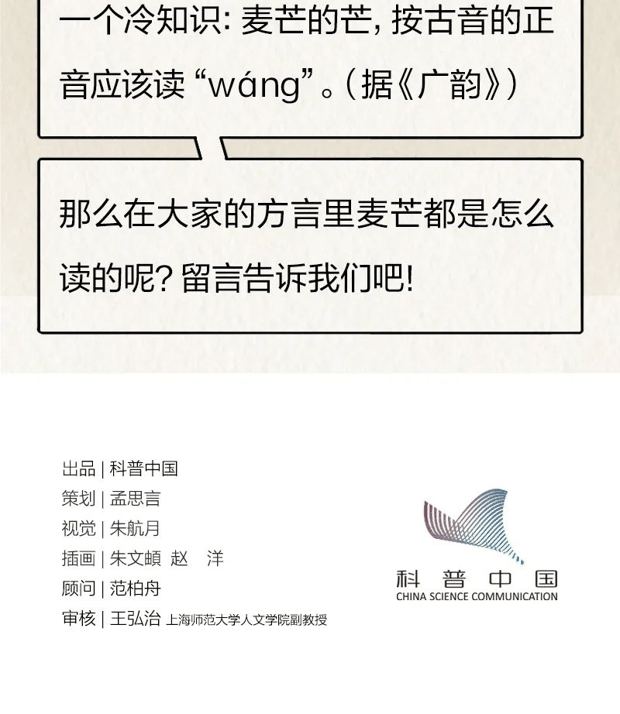“针尖对麦芒”里的“麦芒”是啥？竟然还会自己挖洞！