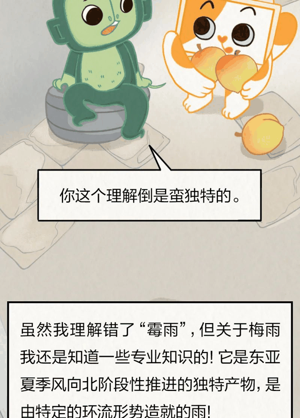 又闷又潮的“梅雨季”，究竟是怎么来的？