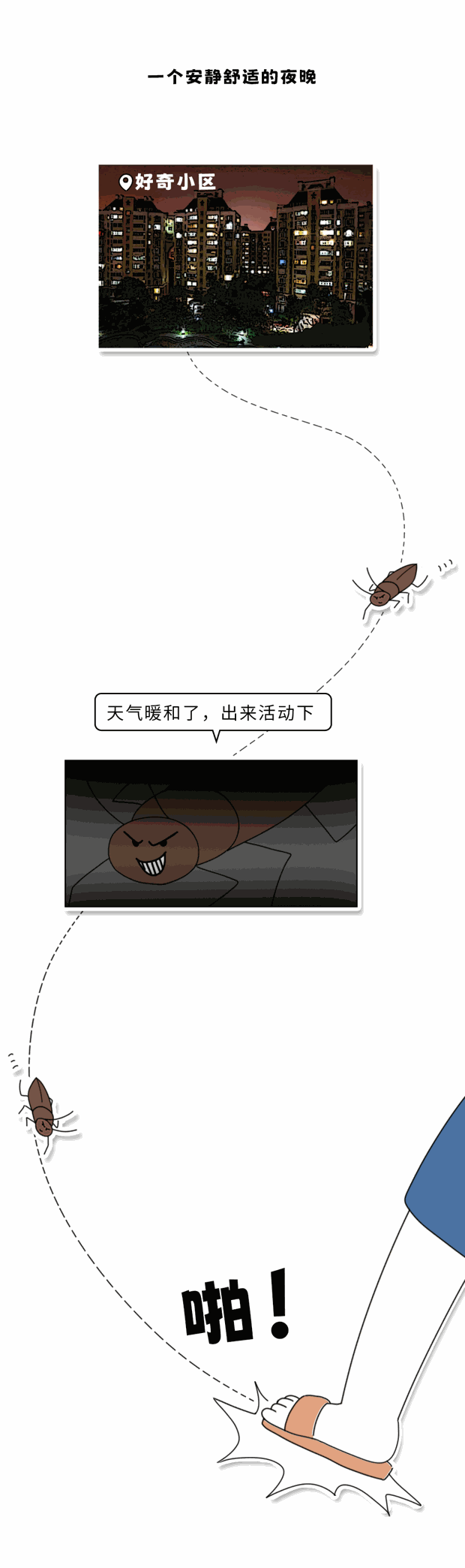 家里踩死的蟑螂，为什么第二天突然消失了
