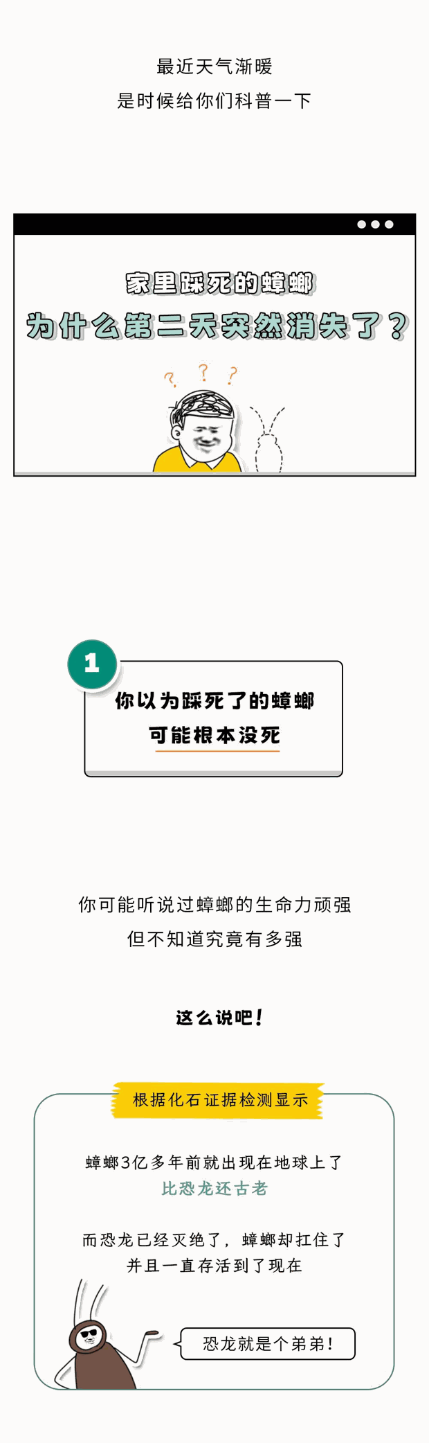 家里踩死的蟑螂，为什么第二天突然消失了？