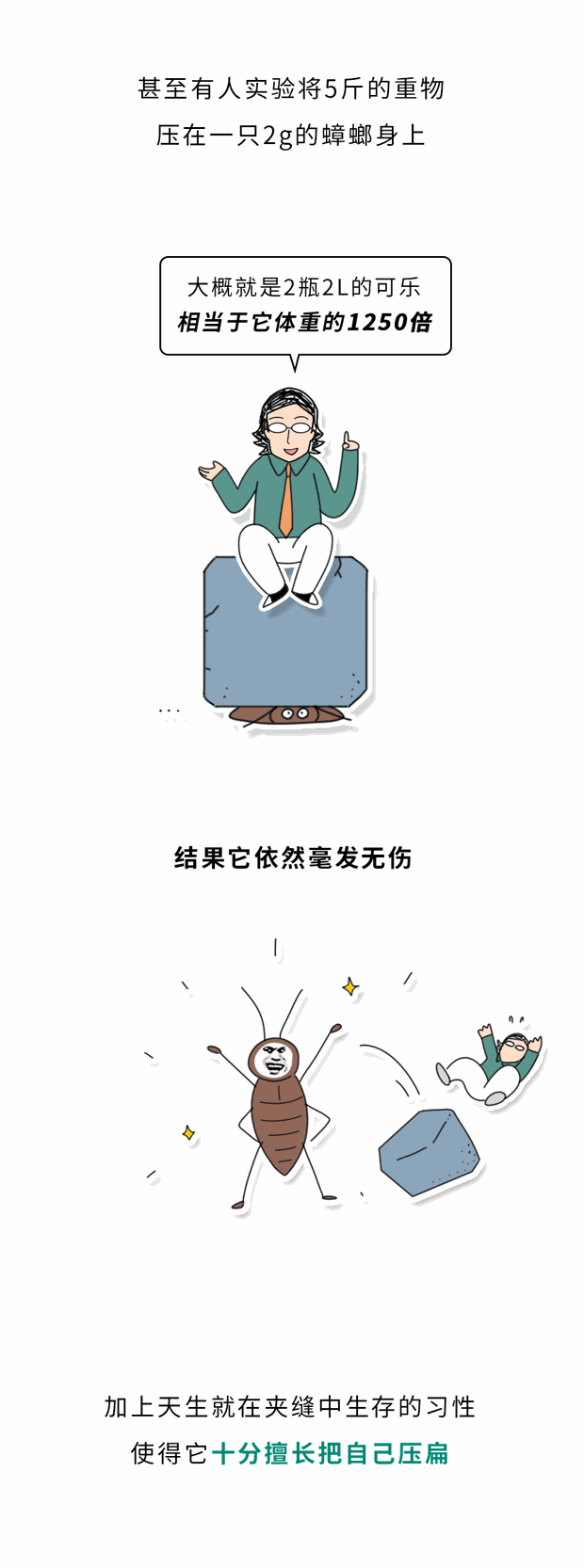 家里踩死的蟑螂，为什么第二天突然消失了？