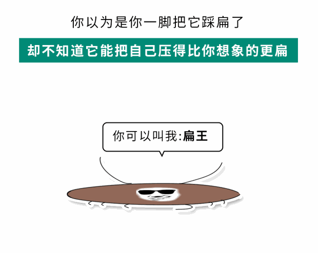 家里踩死的蟑螂，为什么第二天突然消失了？