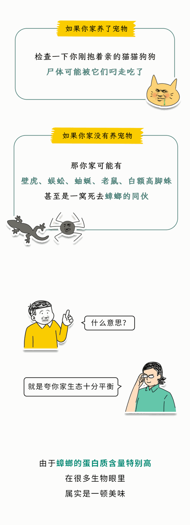家里踩死的蟑螂，为什么第二天突然消失了？