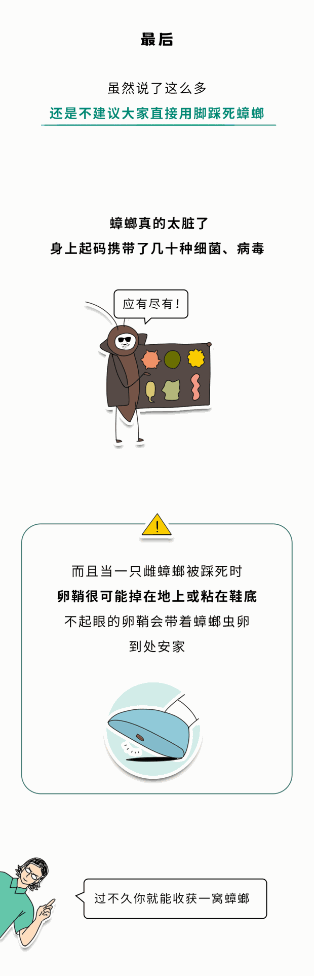 家里踩死的蟑螂，为什么第二天突然消失了？