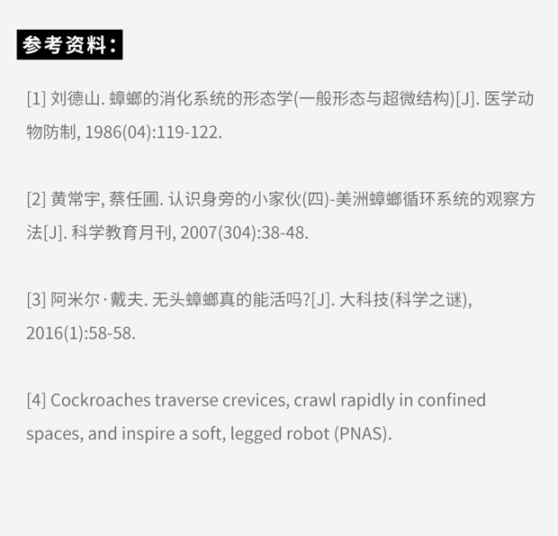 家里踩死的蟑螂，为什么第二天突然消失了？