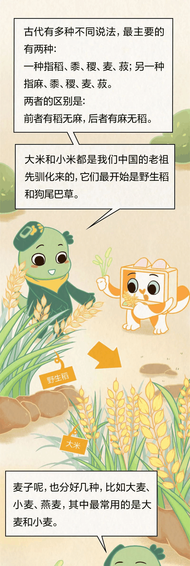 狗尾巴草熬的粥？别怀疑，你肯定喝过