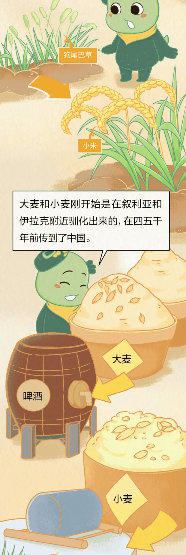 狗尾巴草熬的粥？别怀疑，你肯定喝过