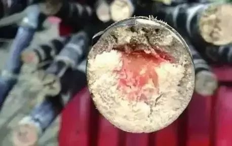 进入高峰期！“清明蔗，毒过蛇”，紧急提醒：不要吃！