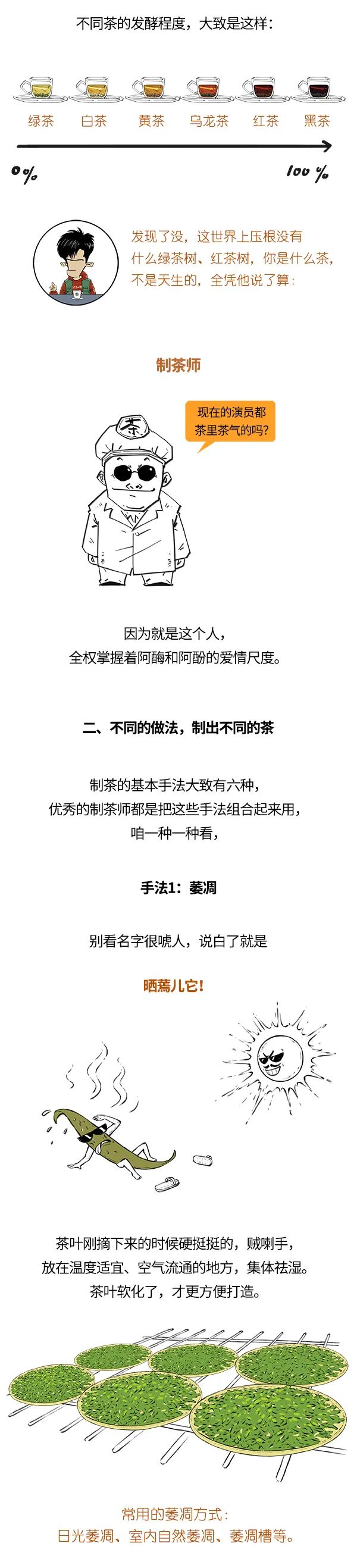 红茶、绿茶、乌龙茶，竟然是一家？