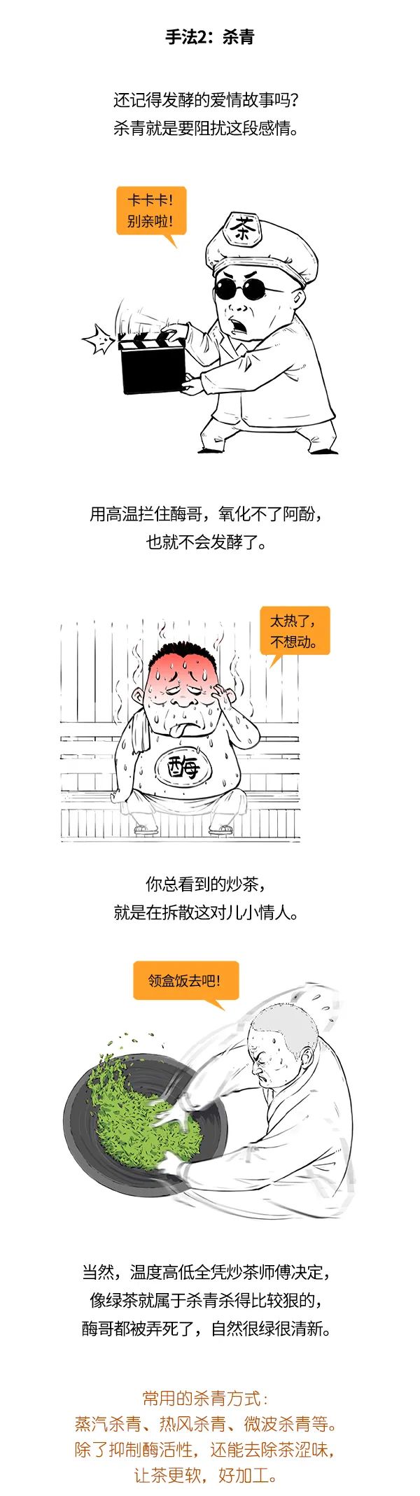 红茶、绿茶、乌龙茶，竟然是一家？