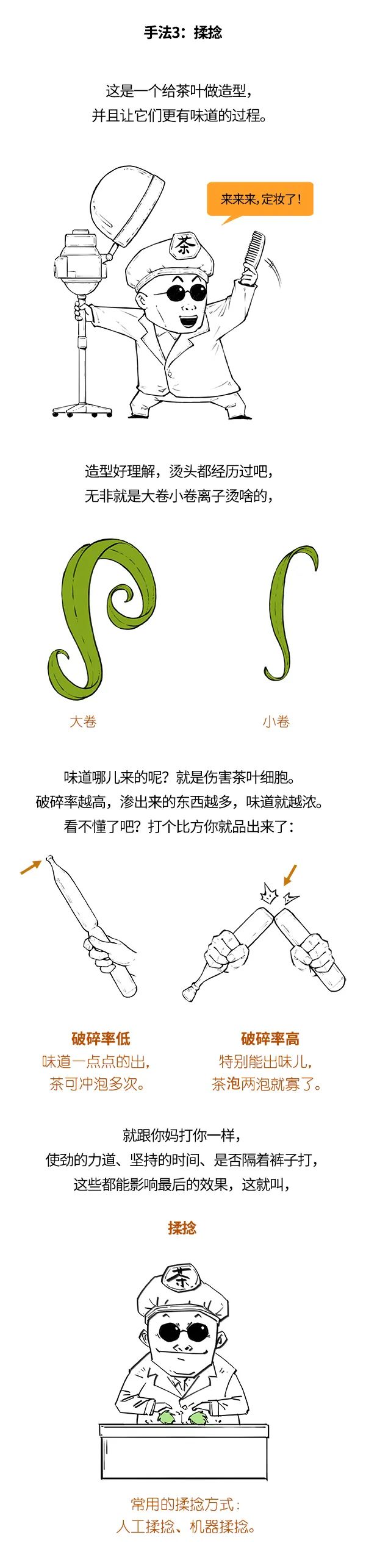 红茶、绿茶、乌龙茶，竟然是一家？