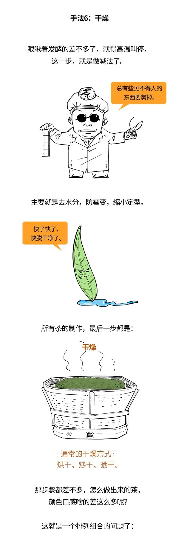 红茶、绿茶、乌龙茶，竟然是一家？
