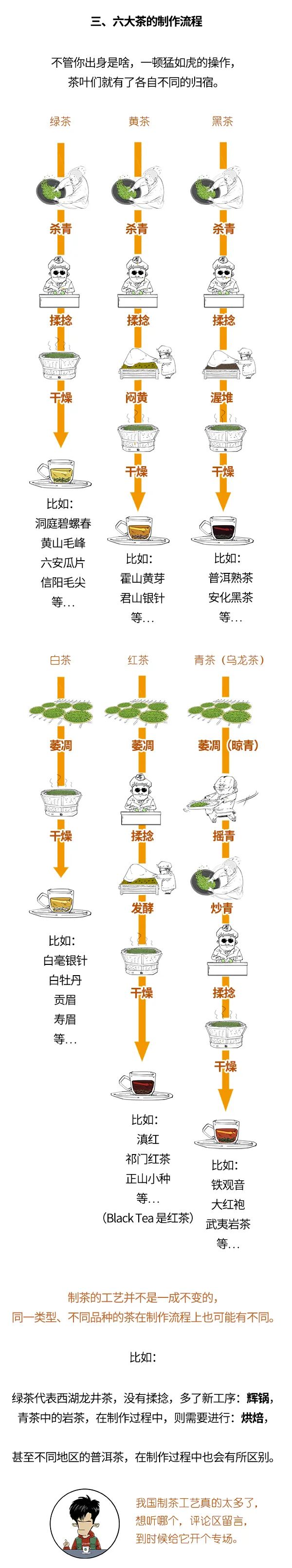 红茶、绿茶、乌龙茶，竟然是一家？