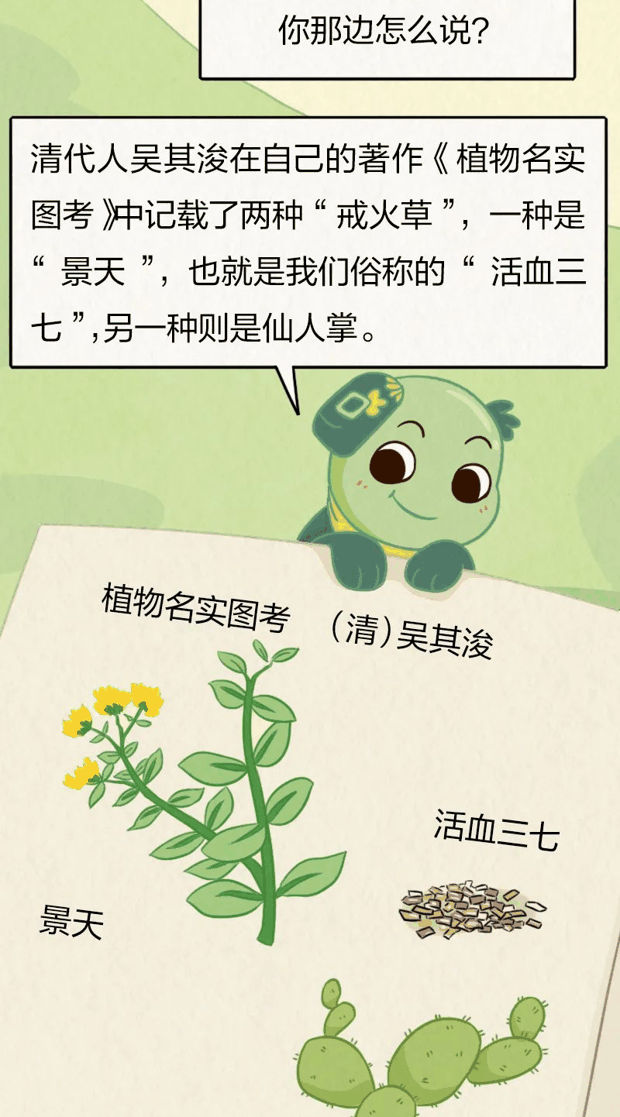 古人在房子上种草，竟是为了“防火”？