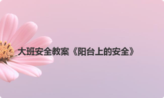 大班安全教案《阳台上的安全》