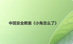 中班安全教案《小兔怎么了》