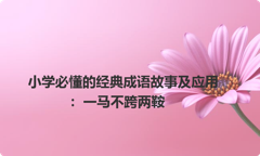 小学必懂的经典成语故事及应用：一马不跨两鞍