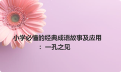 小学必懂的经典成语故事及应用：一孔之见