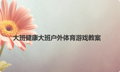 大班健康大班户外体育游戏教案