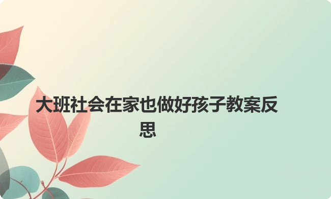 大班社会在家也做好孩子教案反思