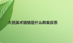 大班美术猜猜是什么教案反思