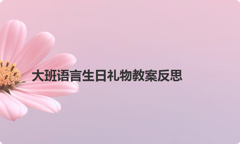 大班语言生日礼物教案反思