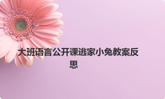大班语言公开课逃家小兔教案反思