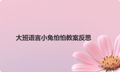 大班语言小兔怕怕教案反思