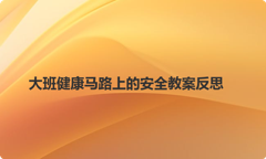 大班健康马路上的安全教案反思