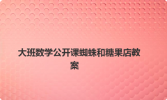 大班数学公开课蜘蛛和糖果店教案