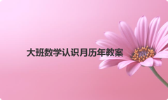 大班数学认识月历年教案