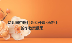 幼儿园中班社会公开课-马路上的车教案反思