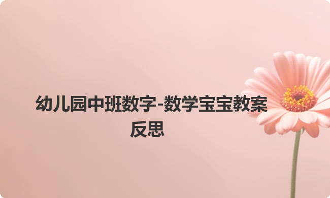 幼儿园中班数字-数学宝宝教案反思