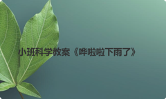 小班科学教案《哗啦啦下雨了》