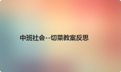 中班社会--切菜教案反思