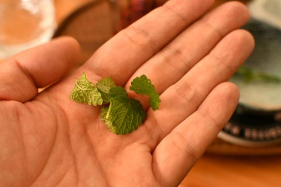 食谱：蔓越莓金汤力