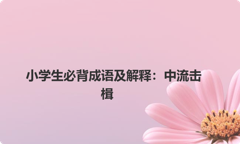 小学生必背成语及解释：中流击楫