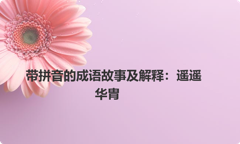 带拼音的成语故事及解释：遥遥华胄
