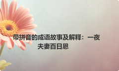 带拼音的成语故事及解释：一夜夫妻百日恩