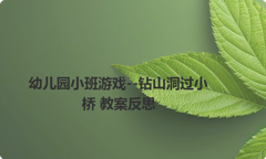 幼儿园小班游戏--钻山洞过小桥 教案反思