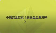 小班安全教案《安安全全滑滑梯》